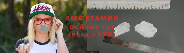 мдпв Гусь-Хрустальный