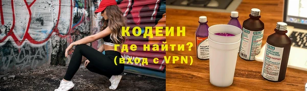 мдпв Гусь-Хрустальный