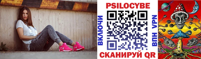 Псилоцибиновые грибы мицелий  где найти   Чёрмоз 